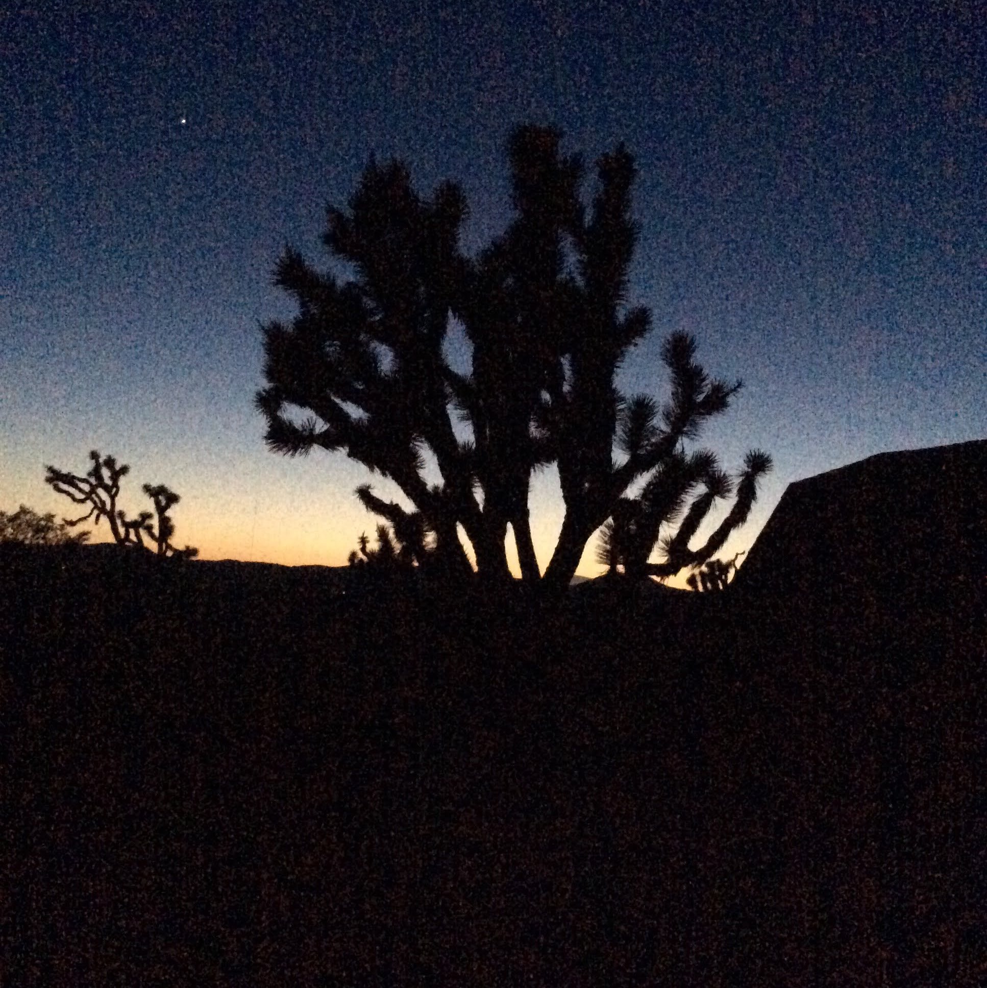 Dolan Springs 2022 Top Things to Do Dolan Springs Travel Guides Top