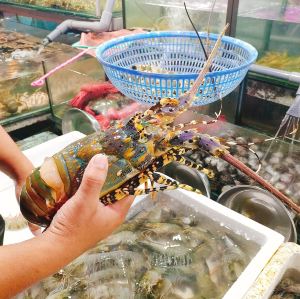 Mui Ne,추천 트립 모먼트