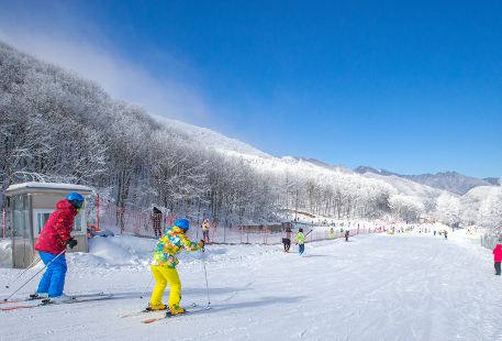 Shennongjia Zhonghe International Ski Field