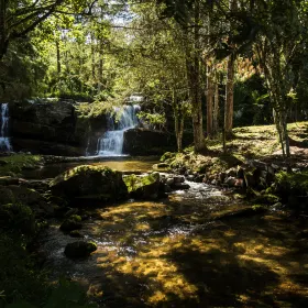 大板水森林公園