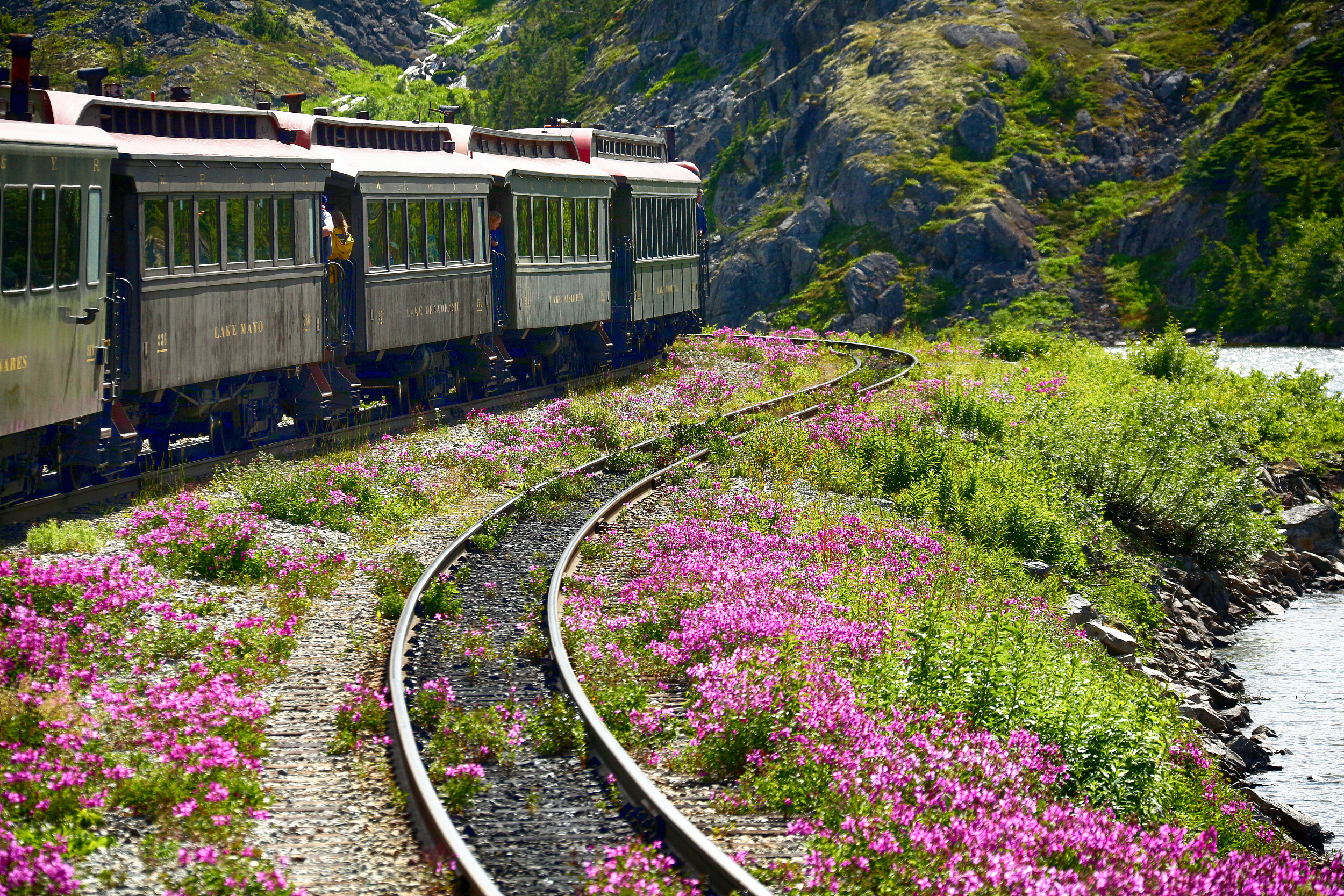 Alaska Railroadのレビュー Alaska Railroadのチケット Alaska Railroadの割引 Alaska Railroadの交通機関 所在地 営業時間 Alaska Railroad周辺の観光スポット ホテル グルメ Trip Com