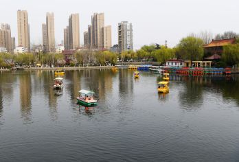 荊河公園 熱門景點照片