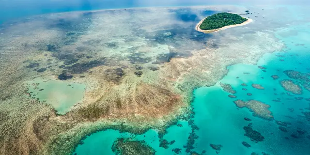 2023年】Great Barrier Reefの人気観光スポット・旅行ガイド・グルメ