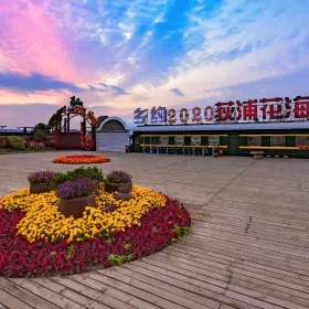 Flower Fields of Dipu Village