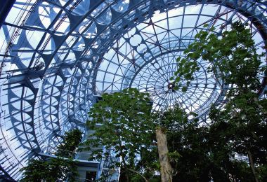 國立自然科學博物館植物園 熱門景點照片