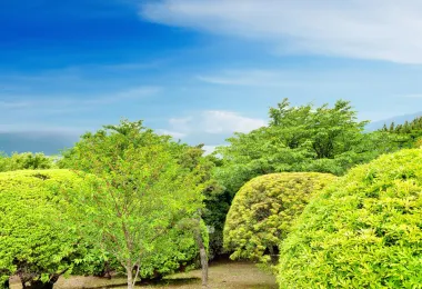 箱根公園 観光スポットの人気写真
