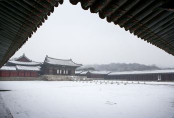 昌慶宮 熱門景點照片