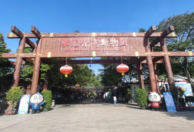 Xiangshi Zoo Popular Attractions Photos
