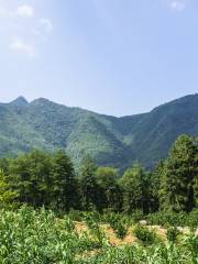 南嶺國家森林公園