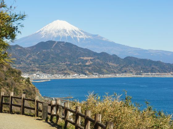 Shizuoka  mảnh đất yên bình của núi Phú Sỹ  Japannetvn