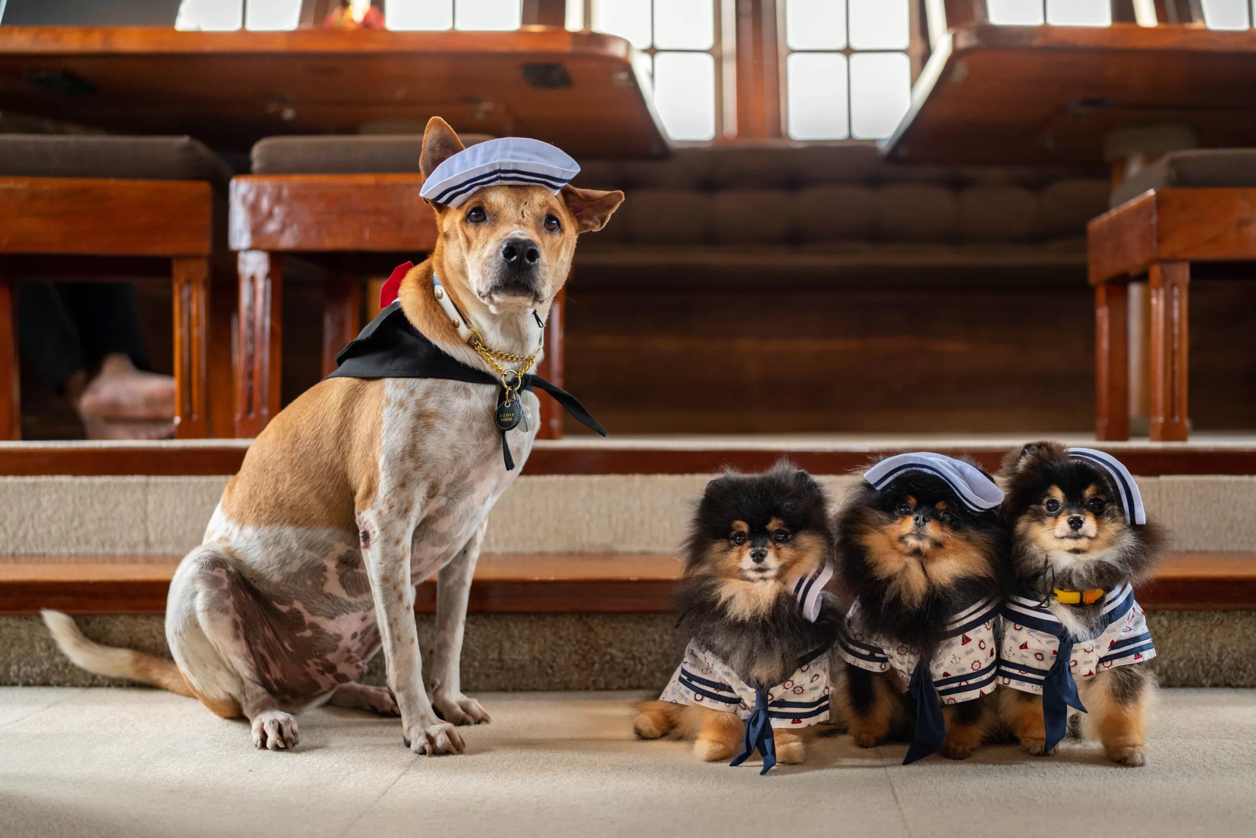 Ticket Options and Pricing