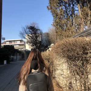 서울,추천 트립 모먼트