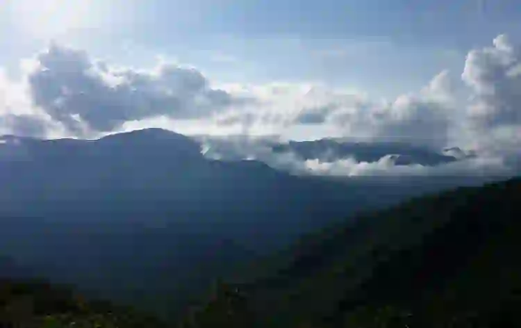 Trip.com