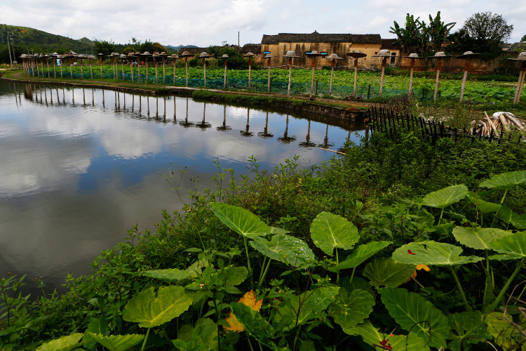 2021东源旅游攻略-东源好去处-东源观光景点2021-trip.com