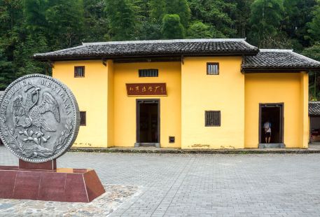 Jinggang Mountain Mint