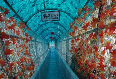 Yunshang Longyin Mountain Tourist Resort Popular Attractions Photos