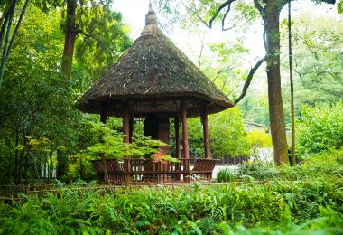 Du Fu's Thatched Cottage Popular Attractions Photos