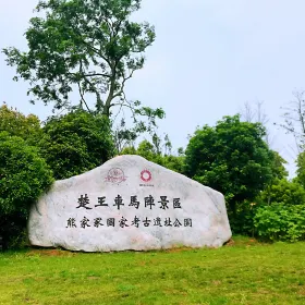 Chu Kings' Tombs (Xiongjia National Archaeological Site Park)