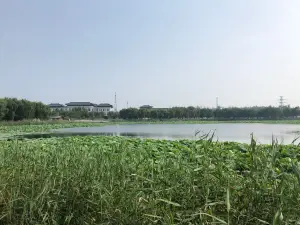 Danxianbinhe Wetland Park