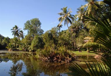 Cairns Botanic Gardens Popular Attractions Photos
