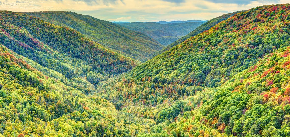 Pendleton 2023 Top Things to Do Pendleton Travel Guides Top