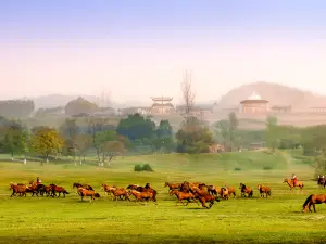 Mulan Grassland