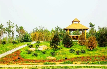 Jiningshi Botanical Garden