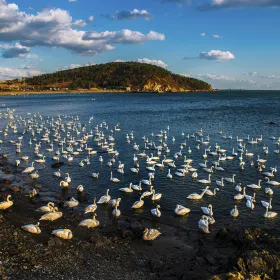 Rongcheng Swan Lake Provincial Tourist Resort