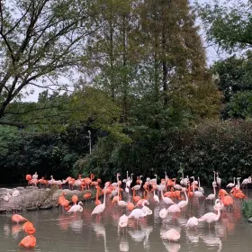 Zhuzhouchangsha Zoo
