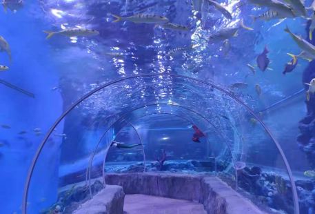 Pingdingshan Aquarium