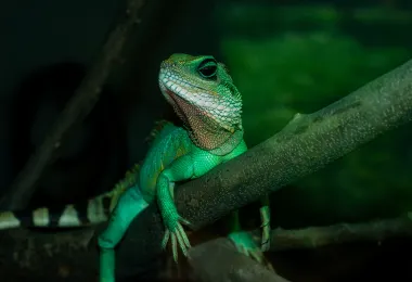 廣州海洋館 熱門景點照片