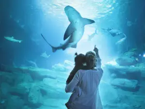 Top 8 Family-friendly Attractions in Langkawi