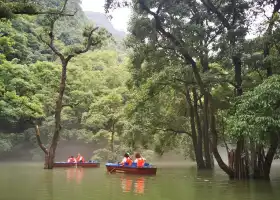 鴛鴦湖遊船