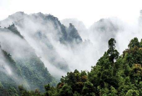 廣東南嶺國家級自然保護區