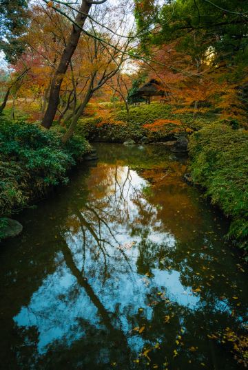 成田山公園圖片 成田市景點的照片 Trip Moments 貼文