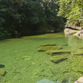 Tongling Valley of Wencheng