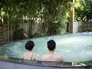 Top 11 Hot Spring Hotels in Tokyo