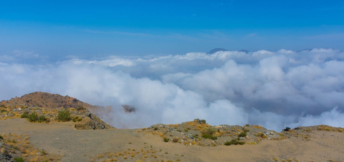 Taif Travel Guide 2023 - Things to Do, What To Eat & Tips | Trip.com
