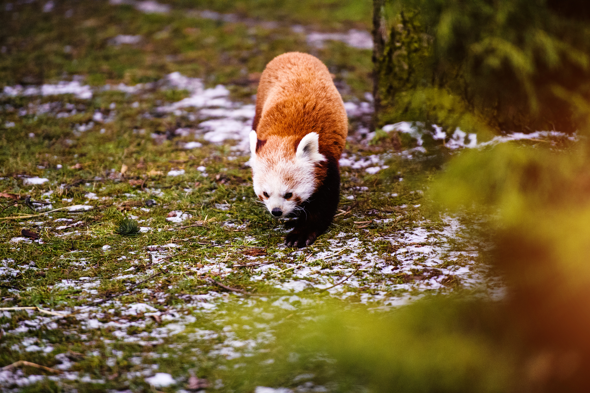 Top 5 Incredible Wildlife Areas in Beijing - 2023 Top 5 Incredible Wildlife Areas in Beijing - 2023