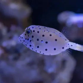 Wuxi Aquarium