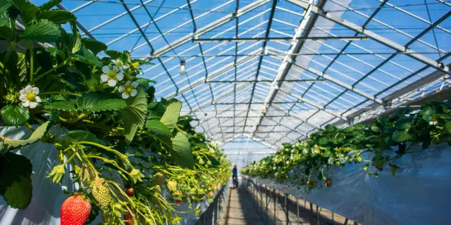 22相模原市自由行 相模原市旅遊攻略 熱門推薦相模原市景點門票 飯店與必吃美食 Trip Com