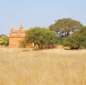 1774 Pagoda