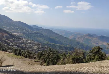 Damu Mountain Forest Park Popular Attractions Photos