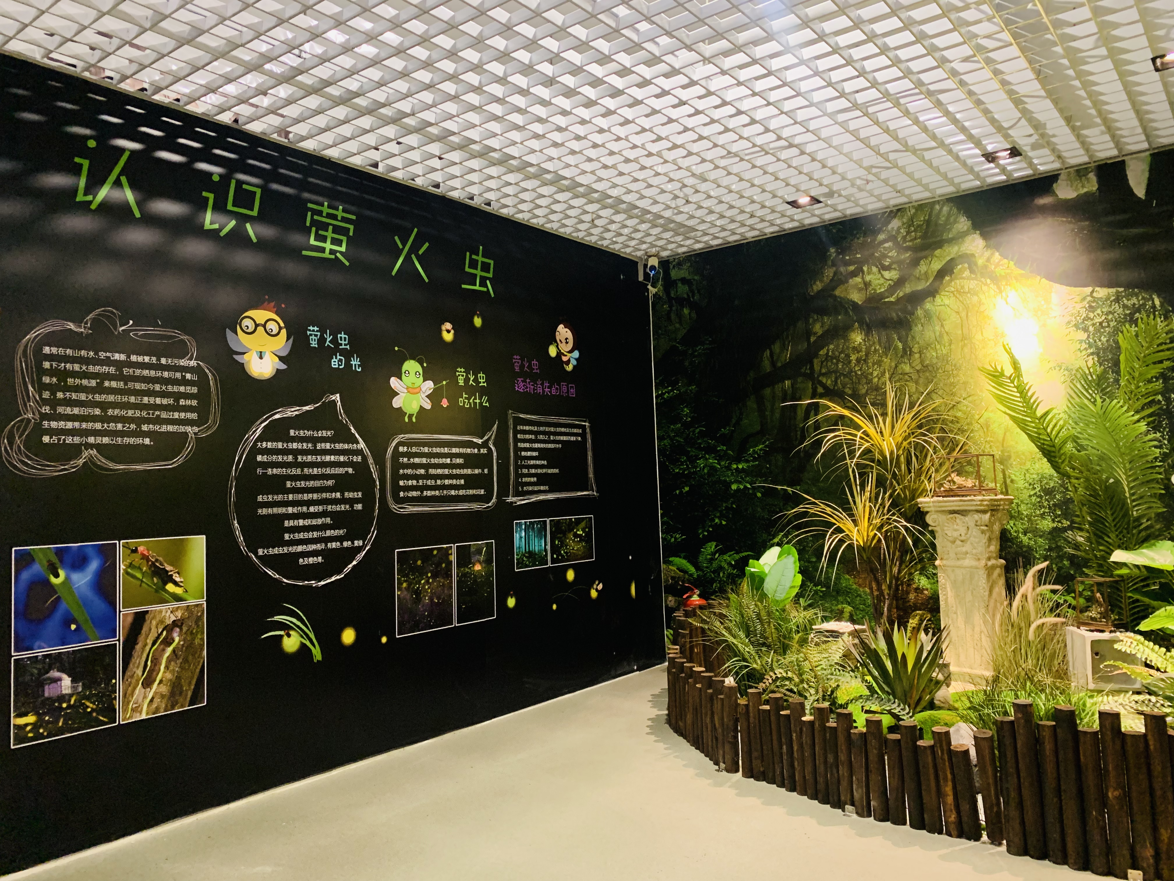 螢火蟲體驗館attraction Reviews 螢火蟲體驗館tickets 螢火蟲體驗館discounts 螢火蟲體驗館transportation Address Opening Hours Attractions Hotels And Food Near 螢火蟲體驗館 Trip Com 螢火蟲體驗館attraction Reviews 螢火蟲體驗館tickets 螢火蟲體驗館discounts 螢火蟲體驗館transportation Address Opening Hours Attractions Hotels And Food Near 螢火蟲體驗館 Trip Com