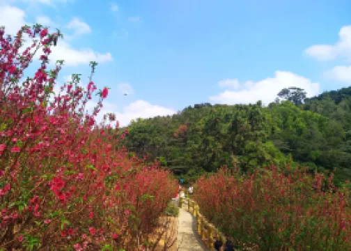 白水帶公園景點評價 白水帶公園門票 白水帶公園優惠 白水帶公園交通 地址 開放時間 白水帶公園附近景點 酒店及美食 Trip Com