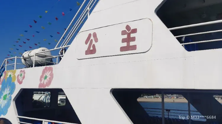 秦皇島 プリンセス号 クルーズ 評判 案内 トリップドットコム