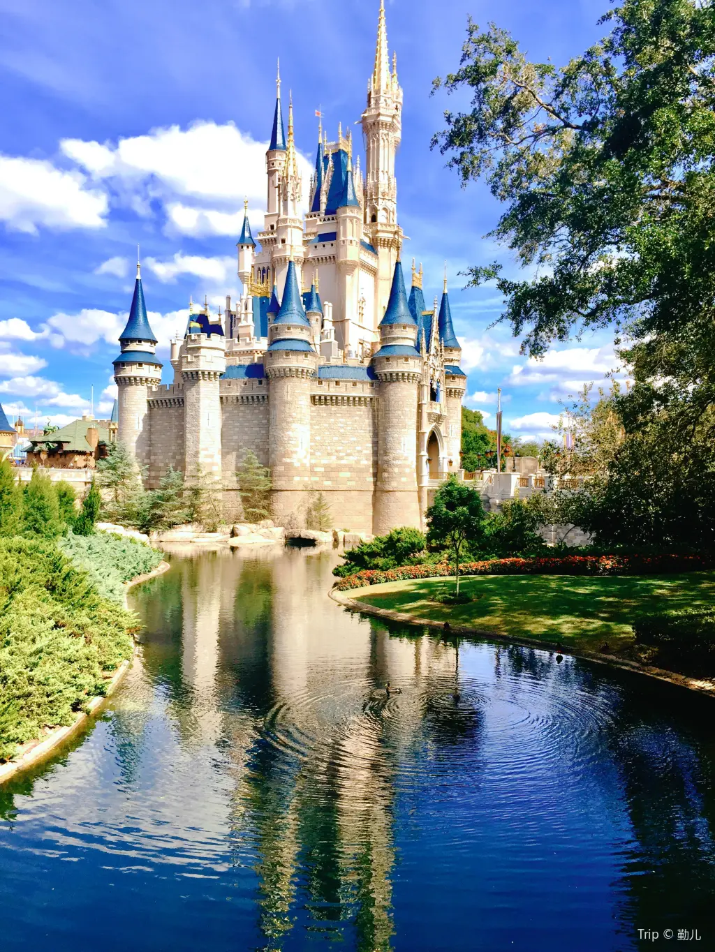 Walt Disney World Resort