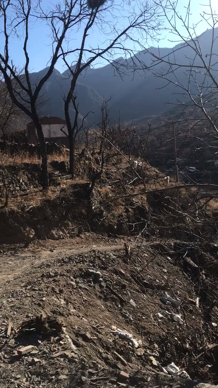 Korean gole vjesti