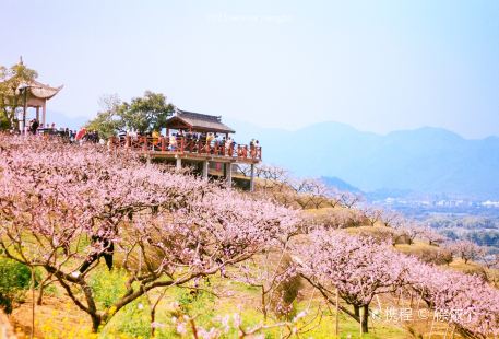 Tianxiadiyi Peach Orchard