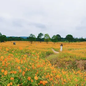 Xiyuan Park